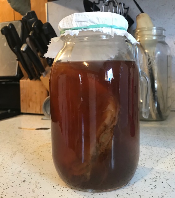 SCOBY